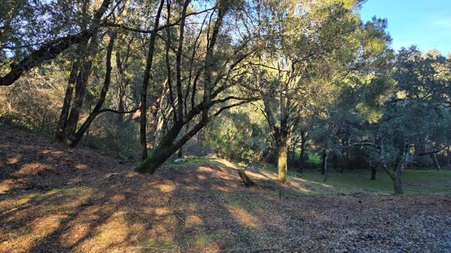 245 Gillette Road, Watsonville CA: https://media.crmls.org/mediaz/4b58e5bf-b238-469f-9139-f38c824c0fbe.jpg