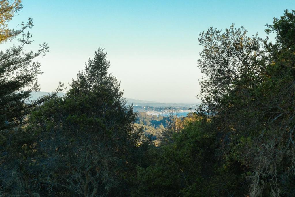 https://media.crmls.org/mediaz/4b59c06d-0124-4d92-a0f8-8aad8ce12263.jpg?preset=X-Large