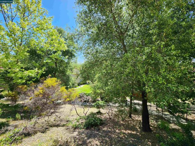 617 S Blackbrush Ln, San Ramon CA: https://media.crmls.org/mediaz/4b5ac6cc-3e20-4a02-9ec2-660b7e8d6263.jpg