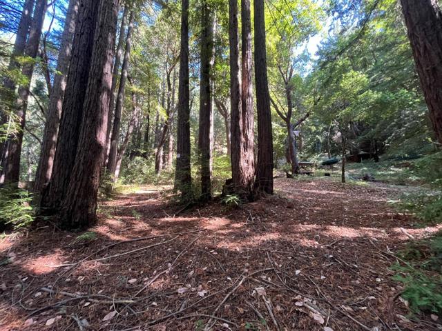 19900 Kings Creek Road, Boulder Creek CA: https://media.crmls.org/mediaz/4b647c89-f62c-44eb-afce-5d7c652d9fef.jpg