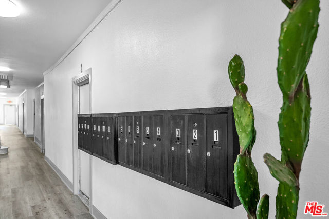 123 S Westmoreland Avenue, Los Angeles CA: https://media.crmls.org/mediaz/4b70eca9-d2ad-4ef5-9ab2-f7f8d97c8f1e.jpg