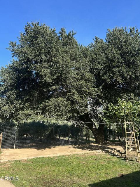 Detail Gallery Image 13 of 32 For 12104 Topa Ln, Santa Paula,  CA 93060 - 3 Beds | 1 Baths