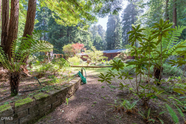 Detail Gallery Image 38 of 44 For 12141 Pinewood Rd, Mendocino,  CA 95460 - 3 Beds | 2 Baths