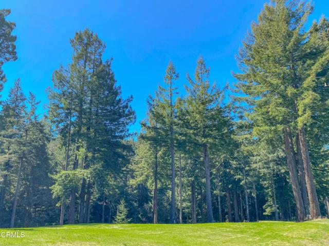 15137 Mitchell Creek Drive, Fort Bragg CA: https://media.crmls.org/mediaz/4b8b214b-de9d-44f4-8a8e-8bbce117767b.jpg