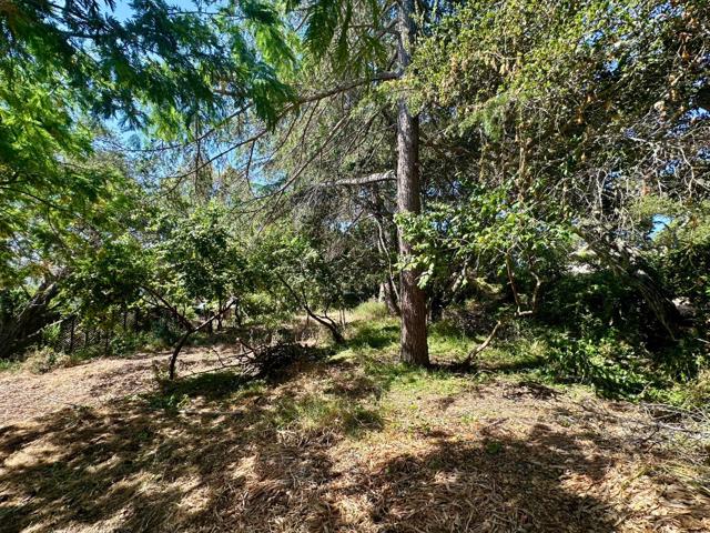 1920 Oak Knoll Drive, Belmont CA: https://media.crmls.org/mediaz/4b8b812e-30ea-4cdc-9f73-f4f8f1bd40c1.jpg