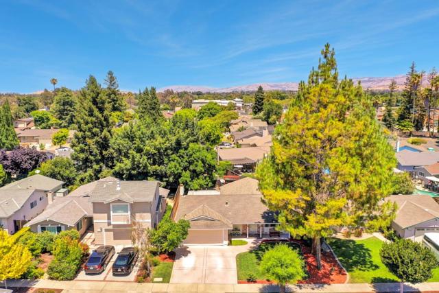 6175 Oneida Drive, San Jose CA: https://media.crmls.org/mediaz/4b94d54e-1f86-4cf7-853f-937d3d05f66e.jpg