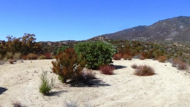 Detail Gallery Image 4 of 41 For 37245 Old Forest Rd, Anza,  CA 92539 - – Beds | – Baths