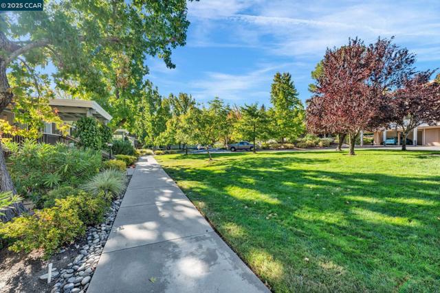 1200 Leisure Ln, Walnut Creek CA: https://media.crmls.org/mediaz/4ba5b96c-f0ad-4ebd-bf00-4f58121c5be5.jpg