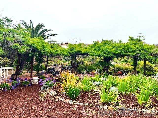 16731 Callado Ct, San Diego CA: https://media.crmls.org/mediaz/4ba8bb7b-b492-4fe1-9bd7-81c3b5522e36.jpg