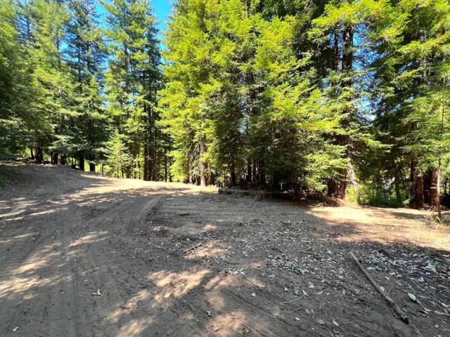 0 E Hilton, Boulder Creek CA: https://media.crmls.org/mediaz/4bb33a33-9a53-480e-ad89-ef1cf70f13b0.jpg