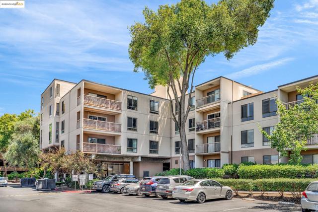 470 N N Civic Drive, Walnut Creek CA: https://media.crmls.org/mediaz/4bbd0df3-8a62-43f1-b9af-f0d7437b1c57.jpg