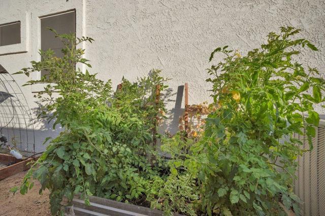 45180 Debbie Drive, La Quinta CA: https://media.crmls.org/mediaz/4bbe8bc1-2783-4255-90eb-fca18263130d.jpg