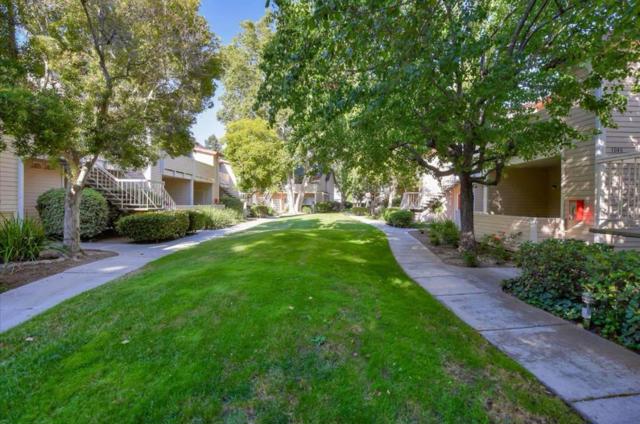 1038 Cedar Gables Drive, San Jose CA: https://media.crmls.org/mediaz/4bc13dad-4908-4260-838d-e3ce9f78b4b8.jpg