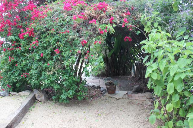 1035 Edgemont Place, San Diego CA: https://media.crmls.org/mediaz/4bcbaf42-397b-45cd-8af1-e5d078c17473.jpg
