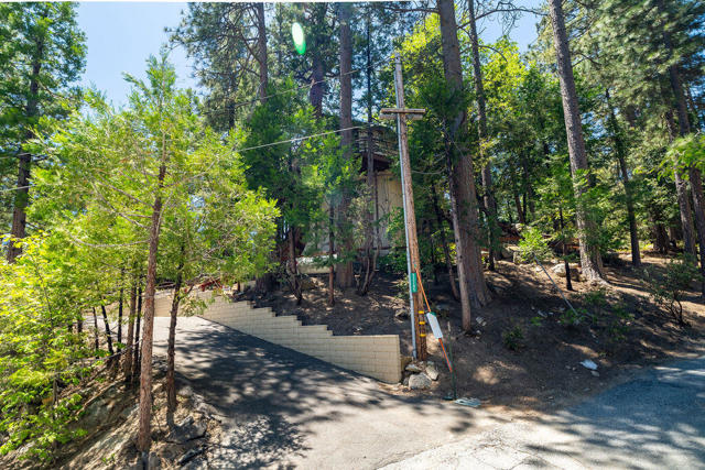 Image 2 for 53285 Forest Lake Dr, Idyllwild, CA 92549