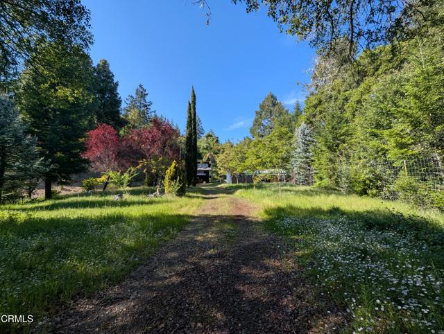 Detail Gallery Image 39 of 49 For 22346 Rickard Ranch Rd, Point Arena,  CA 95468 - – Beds | – Baths