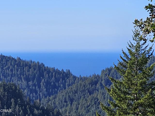 Front Image Thumbnail for CRC1-11081