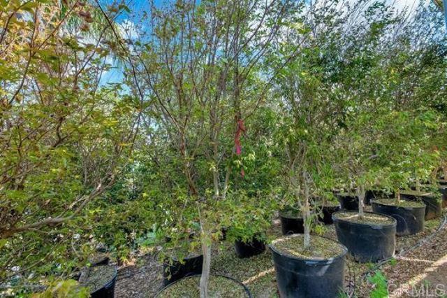 2081 Elevado Road, Vista CA: https://media.crmls.org/mediaz/4bd4c4ba-7233-4e96-9970-c3d566260eb0.jpg