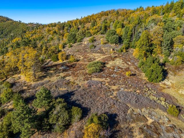 Detail Gallery Image 28 of 33 For 0 State Park Rd, Palomar Mountain,  CA 92060 - – Beds | – Baths