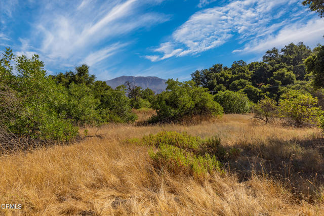 Detail Gallery Image 19 of 22 For 10331 Sulphur Mountain Rd, Ojai,  CA 93023 - – Beds | – Baths