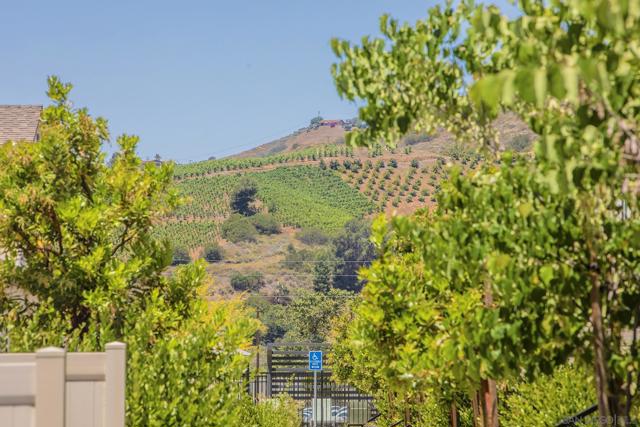 340 SWEET PLACE, Fallbrook CA: https://media.crmls.org/mediaz/4c03fee0-b11f-4d5f-99d7-348f88d25719.jpg
