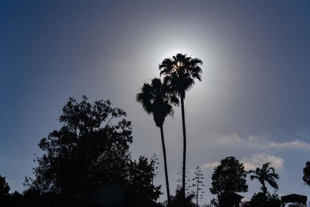 Image 46 of 47 For 3876 Mount Albertine Avenue