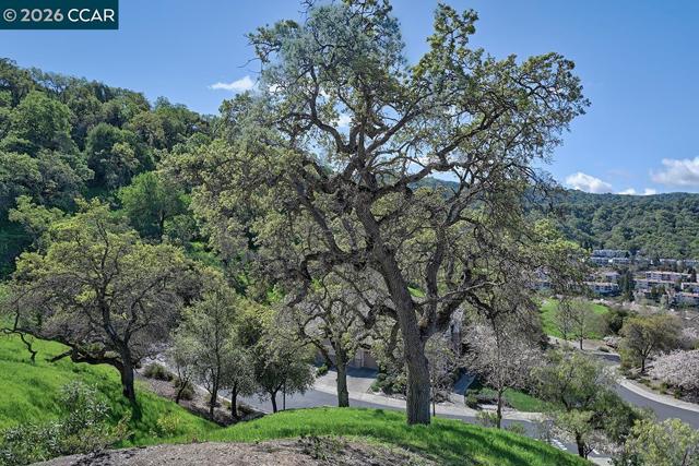 Image 11 of 59 For 539 High Eagle Ct