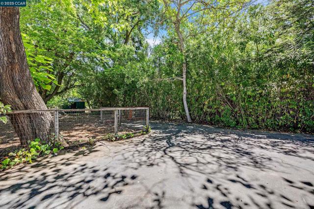51 Bolla Ave, Alamo CA: https://media.crmls.org/mediaz/4c18dae3-d889-46fe-800b-a52cbbb4150e.jpg