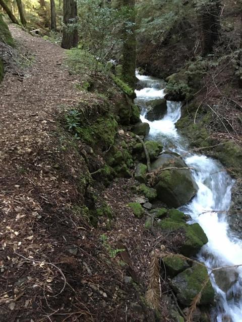 0 Llagas Road, Morgan Hill CA: https://media.crmls.org/mediaz/4c1e2f6b-45c3-41d6-8ffc-aeb4237f1a3d.jpg