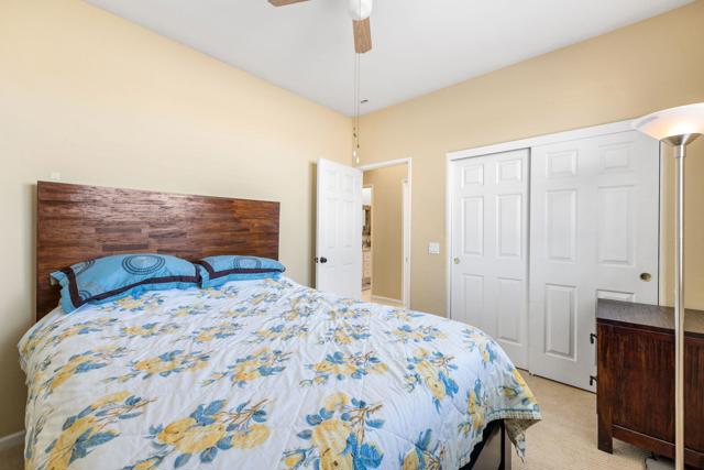 29-web-or-mls-AM4A5603