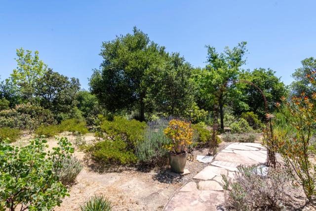 165 Golden Oak Drive, Portola Valley CA: https://media.crmls.org/mediaz/4c29a83a-254b-44d7-9040-865d116cd824.jpg