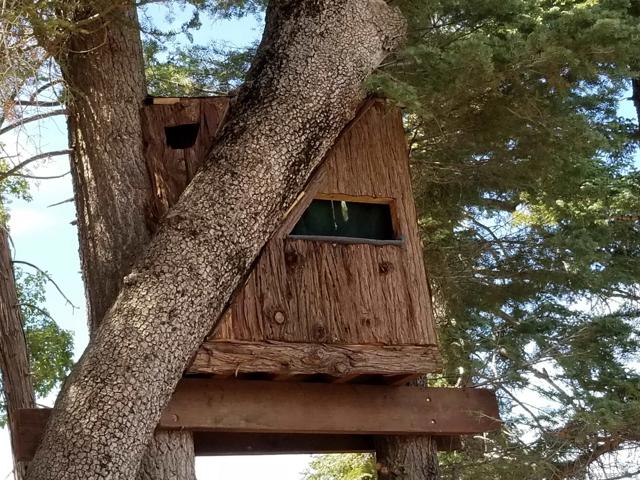 0 Conifer Lane, Palomar Mountain CA: https://media.crmls.org/mediaz/4c2b2025-3aab-41ec-9d8b-54447d591330.jpg
