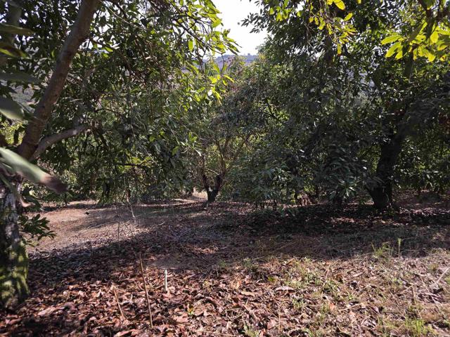Detail Gallery Image 18 of 32 For 0 Couser Canyon Rd, Valley Center,  CA 92082 - – Beds | – Baths