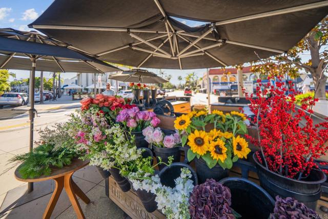 1050 Orange ave, Coronado CA: https://media.crmls.org/mediaz/4c357dec-1ad8-47d8-b837-2579bbad0b98.jpg