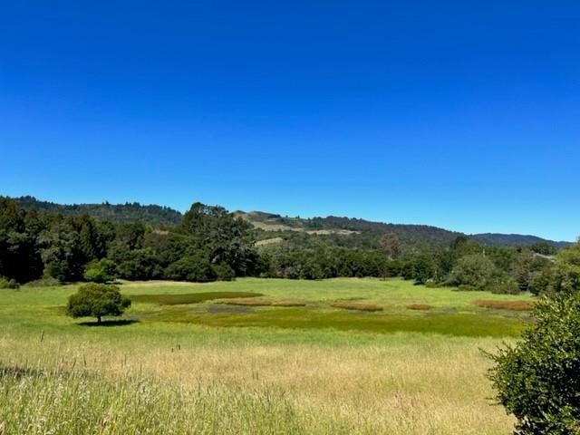 11 Hawk View, Portola Valley CA: https://media.crmls.org/mediaz/4c41d56c-590e-49ce-a887-d4d43342a060.jpg