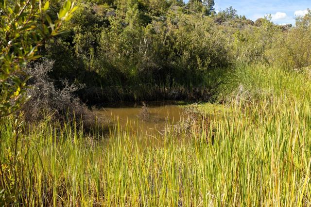 0 Summit Road, Los Gatos CA: https://media.crmls.org/mediaz/4c5174fe-47e6-4889-bacc-02697dad7d5b.jpg