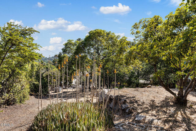 5134 Monte Bonito Drive Drive, Los Angeles CA: https://media.crmls.org/mediaz/4c672f9b-695f-4219-8bd7-e0ab3be1461e.jpg