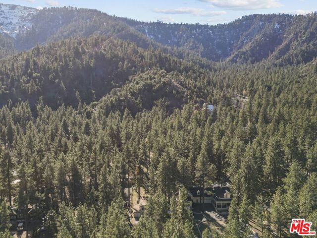 1197 Oriole Road, Wrightwood CA: https://media.crmls.org/mediaz/4c7a154c-79ce-4b8f-b75b-358db17e322b.jpg