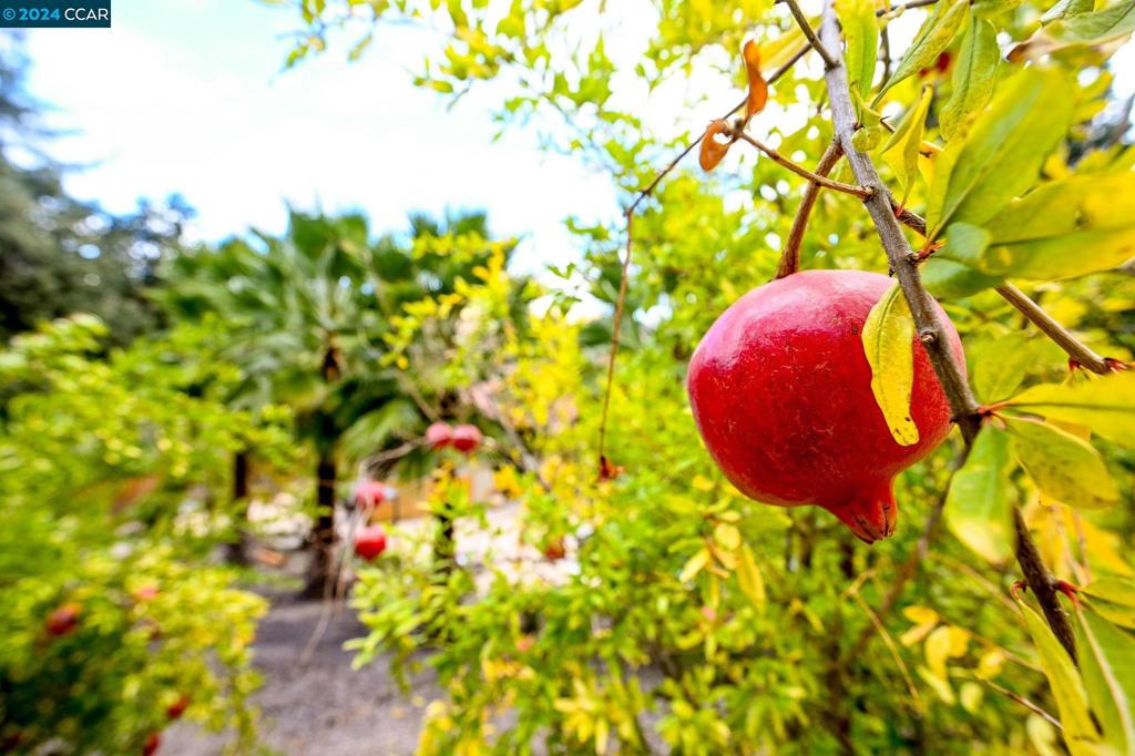 https://media.crmls.org/mediaz/4c83727c-a57d-4f81-a007-ee2ff9dc2c45.jpg?preset=X-Large