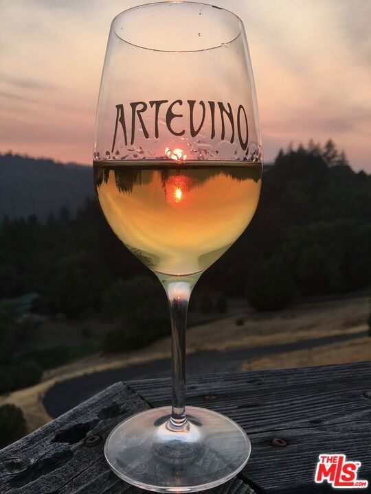 20799 Highway 128, Yorkville CA: https://media.crmls.org/mediaz/4c875df9-992c-410b-90ce-8f7b1998a31d.jpg