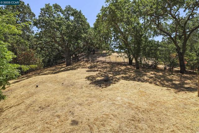 71 Maple Ln, Walnut Creek CA: https://media.crmls.org/mediaz/4c876794-8b6d-4db1-8aff-72752002f5fa.jpg