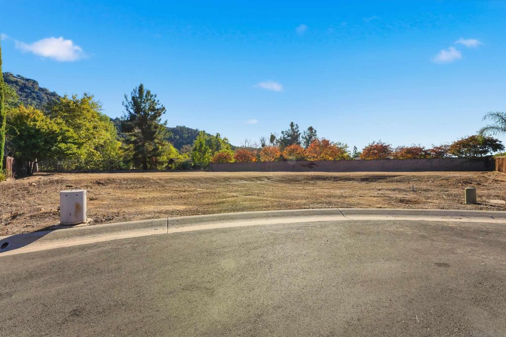 MLS #250043016SD image #10