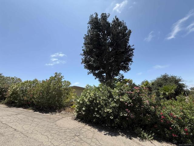 19075 Caesar Drive, Ramona CA: https://media.crmls.org/mediaz/4c960624-a17b-4ed5-8c26-7e27723cf799.jpg