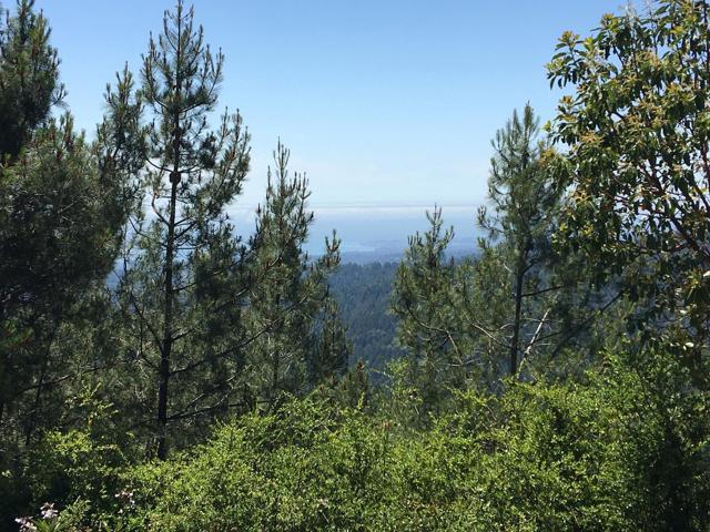 580 Russell Ridge, Watsonville CA: https://media.crmls.org/mediaz/4c9ee52b-ff87-4931-8692-100b9048b9db.jpg