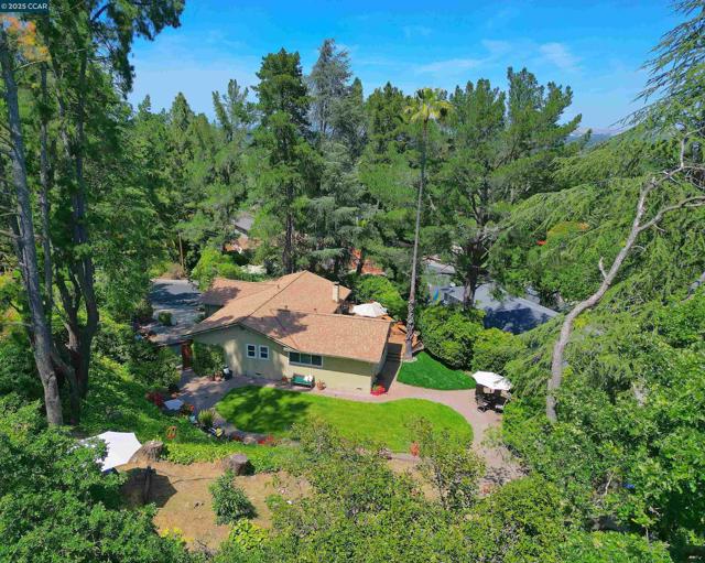 911 Sousa Drive, Walnut Creek CA: https://media.crmls.org/mediaz/4caade3c-0fe0-47df-823d-8a39b21ae6ea.jpg