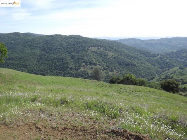 39305 Pine Mountain RD, Cloverdale CA: https://media.crmls.org/mediaz/4cb3baf5-28e9-406c-beb6-27816e327909.jpg