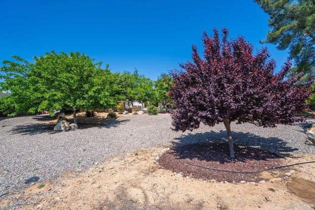 23847 Norte Dr, Ramona CA: https://media.crmls.org/mediaz/4cbd814a-844d-4fef-bba7-5b4b4ea05fb6.jpg