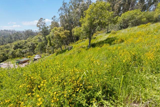 280 Petery Lane, Aptos CA: https://media.crmls.org/mediaz/4cc11566-2da4-41c0-89b8-b82bca53fb77.jpg