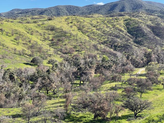 2170 Aliso Park Road, Cuyama CA: https://media.crmls.org/mediaz/4cc333ae-5971-443d-a9ec-4bf14db3abba.jpg