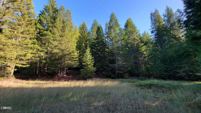 Detail Gallery Image 16 of 25 For 26030 Comptche Ukiah Rd, Comptche,  CA 95427 - – Beds | – Baths